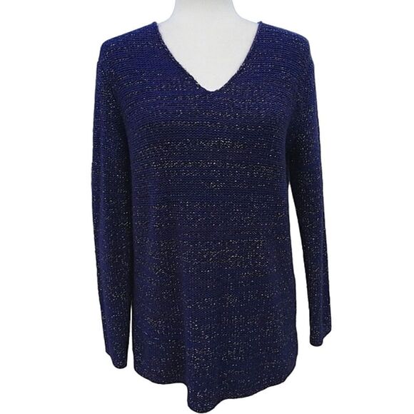 Gap V-Neck Pullover Long Sleeve Wool Blend Blue Sweater Size Medium - Picture 1 of 6